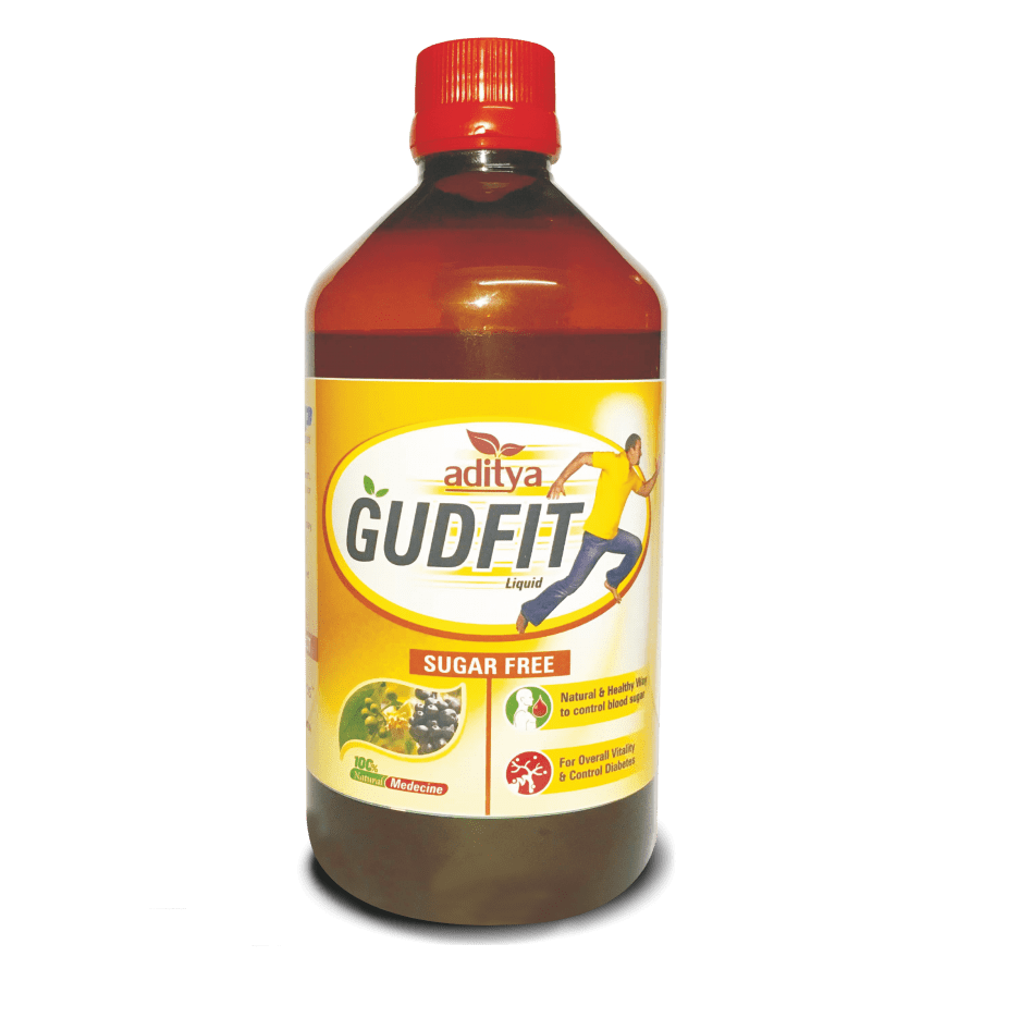 Gudfit Syrup Pack of 4